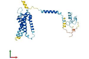 Protein Structure (PS) image for Peroxisomal Biogenesis Factor 2 (PEX2) (AA 1-305) protein (His tag) (ABIN7556461)