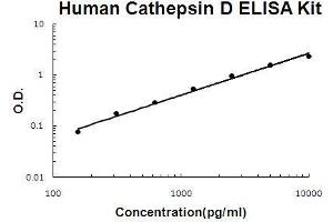 Human Cathepsin D PicoKine ELISA Kit standard curve