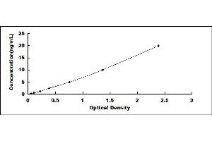 Typical standard curve (LPAR1 ELISA Kit)