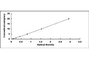 Typical standard curve (WSB1 ELISA Kit)