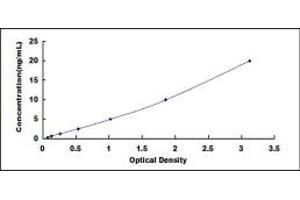 Typical standard curve (CPSF1 ELISA Kit)