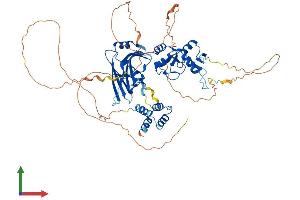 Protein Structure (PS) image for Protein Inhibitor of Activated STAT, 2 (PIAS2) (AA 1-621) protein (His tag) (ABIN7555000)