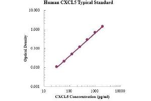 ELISA image for Chemokine (C-X-C Motif) Ligand 5 (CXCL5) ELISA Kit (ABIN3199211)