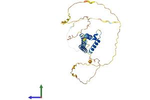Protein Structure (PS) image for Hairy/enhancer-of-Split Related with YRPW Motif-Like (HEYL) (AA 1-326) protein (His tag) (ABIN7561308)