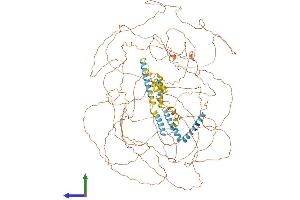 AlphaFold protein structure predicition of Mouse Recombinant Rtn4 Protein, UniprotID Q99P72 (Reticulon 4 Protein (RTN4) (AA 1-1162) (His tag))