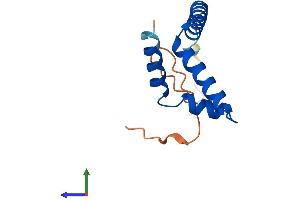 AlphaFold protein structure predicition of Mouse Recombinant Riiad1 Protein, UniprotID Q3KNY5