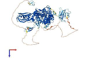 AlphaFold protein structure predicition of Mouse Recombinant Top3a Protein, UniprotID O70157 (TOP3A Protein (AA 1-1003) (His tag))