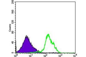 Flow cytometric analysis of RAJI cells using CD1A mouse mAb (green) and negative control (purple). (CD1a antibody)