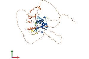 AlphaFold protein structure predicition of Mouse Recombinant Ccm2l Protein, UniprotID Q8VCC6 (C20orf160 Protein (AA 1-481) (His tag))