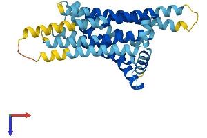 AlphaFold protein structure predicition of Mouse Recombinant Tas2r105 Protein, UniprotID Q9JKT4 (TAS2R105 Protein (AA 1-300) (His tag))