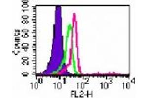 Image no. 1 for anti-Toll-Like Receptor 6 (TLR6) (AA 408-424) antibody (PE) (ABIN960435) (TLR6 antibody  (AA 408-424) (PE))