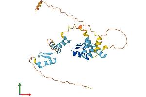 AlphaFold protein structure predicition of Human Recombinant ZNF346 Protein, UniprotID Q9UL40