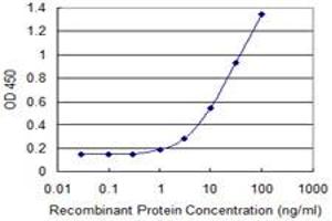 Detection limit for recombinant GST tagged ARFIP1 is 0. (ARFIP1 antibody  (AA 1-101))