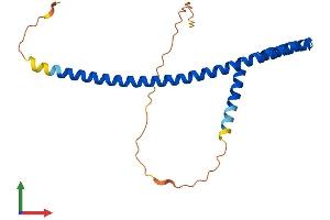 Protein Structure (PS) image for Amino-terminal Enhancer of Split (AES) (AA 1-197) protein (His tag) (ABIN7551986)