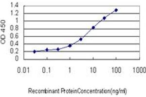 Detection limit for recombinant GST tagged PARP1 is approximately 0. (PARP1 antibody  (AA 1-100))