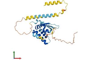 AlphaFold protein structure predicition of Human Recombinant KHDC1 Protein, UniprotID Q4VXA5 (KHDC1 Protein (AA 1-237) (His tag))