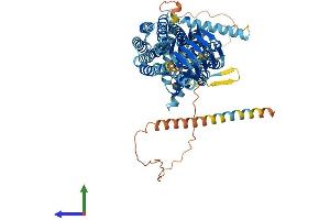 AlphaFold protein structure predicition of Mouse Recombinant Sv2a Protein, UniprotID Q9JIS5