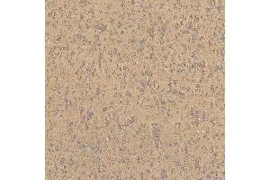 IHC analysis of TST using anti-TST antibody (ABIN7599105).