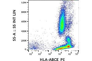 Flow cytometry surface staining pattern of human peripheral whole blood stained using anti-human HLA-ABCE (TP25. (HLA-A+B+C+E antibody (PE))
