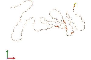 AlphaFold protein structure predicition of Human Recombinant KRTAP10-1 Protein, UniprotID P60331