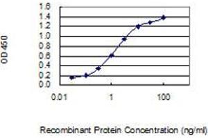 Detection limit for recombinant GST tagged PLP2 is 0. (PLP2 antibody  (AA 1-152))