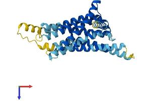AlphaFold protein structure predicition of Human Recombinant TAS2R41 Protein, UniprotID P59536