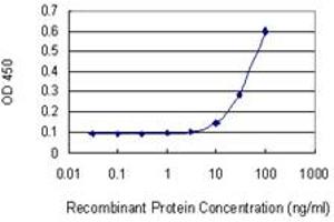 Detection limit for recombinant GST tagged WNT5A is 3 ng/ml as a capture antibody. (WNT5A antibody  (AA 201-300))