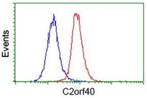 Image no. 2 for anti-Chromosome 2 Open Reading Frame 40 (C2orf40) antibody (ABIN1497048)
