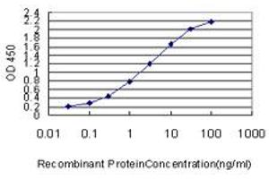 Detection limit for recombinant GST tagged ACSL5 is approximately 0. (ACSL5 antibody  (AA 91-186))