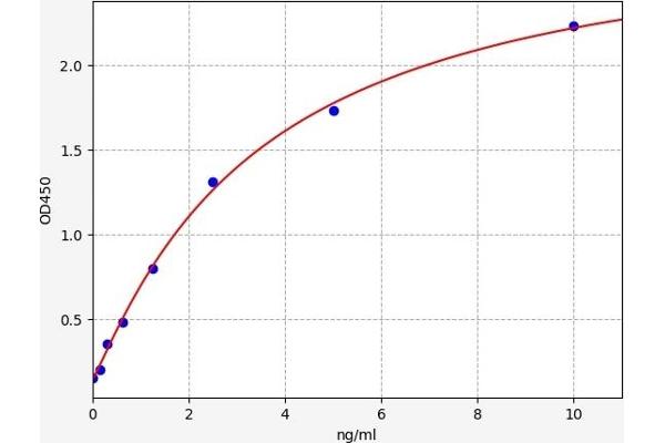 Olfactomedin 1 ELISA Kit