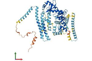 Protein Structure (PS) image for AarF Domain Containing Kinase 5 (ADCK5) (AA 1-582) protein (His tag) (ABIN7558350)