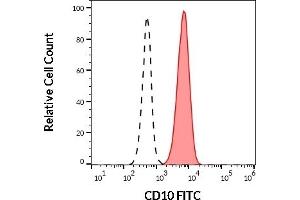 Separation of human CD10 positive neutrophil granulocytes (red-filled) from human CD10 negative lymphocytes (black-dashed) in flow cytometry analysis (surface staining) of human peripheral whole blood stained using anti-human CD10 (LT10) FITC (20 μL reagent / 100 μL of peripheral whole blood). (MME antibody  (FITC))