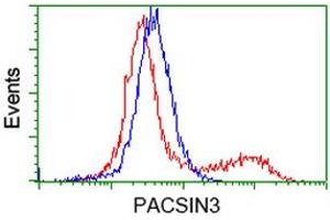 Image no. 3 for anti-Protein Kinase C and Casein Kinase Substrate in Neurons 3 (PACSIN3) antibody (ABIN1500011) (PACSIN3 antibody)