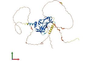 Protein Structure (PS) image for T-Box 19 (TBX19) (AA 1-448) protein (His tag) (ABIN7544297)