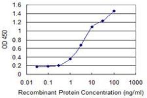 Detection limit for recombinant GST tagged ANGPTL6 is 0. (ANGPTL6 antibody  (AA 211-299))