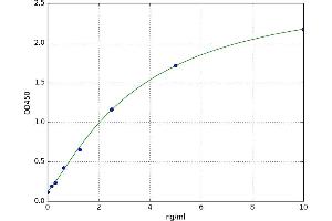CD38 ELISA Kit