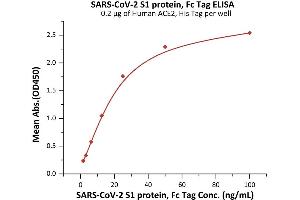 Immobilized Human ACE2, His Tag (ABIN6952618,ABIN6952641) at 2 μg/mL (100 μL/well) can bind SARS-CoV-2 S1 protein, Fc Tag (ABIN6992404) with a linear range of 2-25 ng/mL (QC tested).