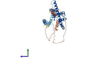 Protein Structure (PS) image for Potassium Channel, Subfamily K, Member 3 (KCNK3) (AA 1-394) protein (His tag) (ABIN7548645)