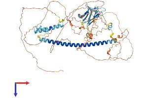 AlphaFold protein structure predicition of Mouse Recombinant Lmntd2 Protein, UniprotID Q0VET5 (C11orf35 Protein (AA 1-664) (His tag))