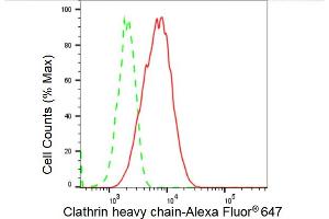 Flow cytometric analysis of Clathrin heavy chain expression in C2C12 cells using Clathrin heavy chain antibody (ABIN7798090), 1:2,000). (Recombinant Clathrin Heavy Chain (CLTC) antibody)