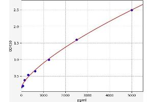 HAS3 ELISA Kit