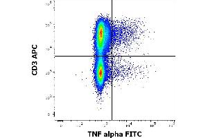 Flow cytometry multicolor intracellular staining pattern of human PHA stimulated peripheral blood mononuclear cells stained using anti-human TNF alpha (MAb11) FITC antibody (4 μL reagent per milion cells in 100 μL of cell suspension).