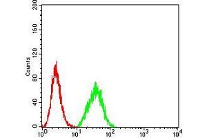 Flow cytometric analysis of Hela cells using DDX1 mouse mAb (green) and negative control (red). (DDX1 antibody  (AA 642-740))