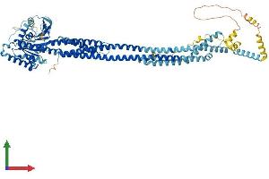 AlphaFold protein structure predicition of Human Recombinant MFN1 Protein, UniprotID Q8IWA4 (MFN1 Protein (AA 1-741) (His tag))
