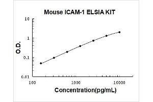 Intercellular Adhesion Molecule 1 (ICAM1) ELISA Kit