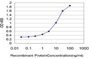 Detection limit for recombinant GST tagged RND2 is approximately 0. (RND2 antibody  (AA 1-169))