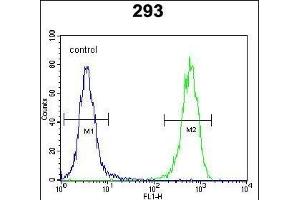 PTK9L Antibody (N-term) (ABIN655611 and ABIN2845093) flow cytometric analysis of 293 cells (right histogram) compared to a negative control cell (left histogram).