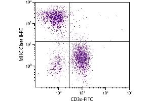 BALB/c mouse splenocytes were stained with Rat Anti-Mouse MHC Class II-PE. (MHC Class II antibody  (APC))