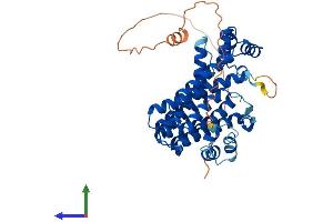 AlphaFold protein structure predicition of Mouse Recombinant Pdss1 Protein, UniprotID Q33DR2 (PDSS1 Protein (AA 1-409) (His tag))