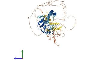 Protein Structure (PS) image for TAO Kinase 2 (TAOK2) (AA 1-1235) protein (His tag) (ABIN7555724)